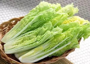 京東進軍蔬菜領域 重塑品質標準，超越有機蔬菜的革新之路
